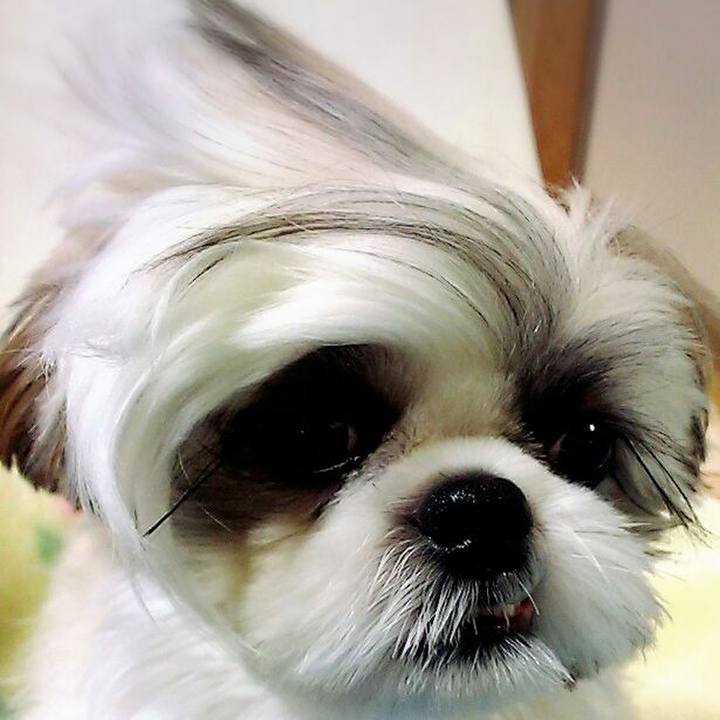 00e3c659 d131 4ef4 87c8 82f17807f476