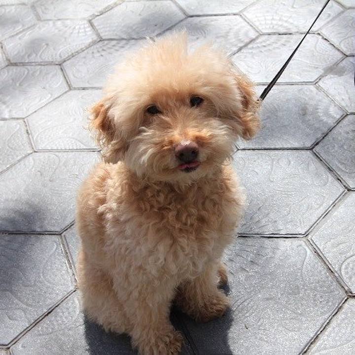 00e3e3c7 ff74 44ae 94fa e6bf7434394a