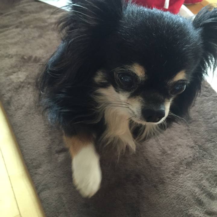 00e3f6b8 7c63 4f25 959c 2c8ca08d9b56