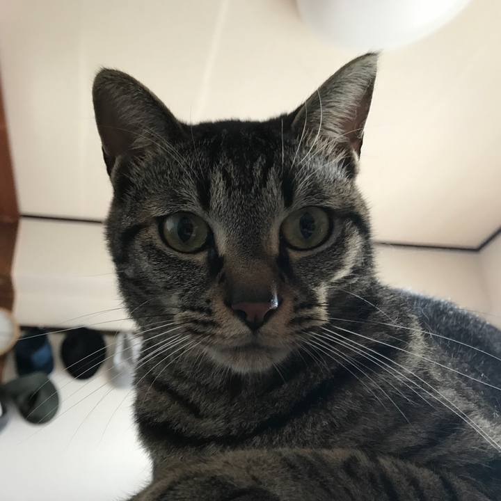 00e46fd2 eb88 473d b58d 40365c9c1bfa