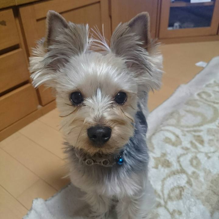 00e4c9ea 542d 44af a1d8 81a595694fe9