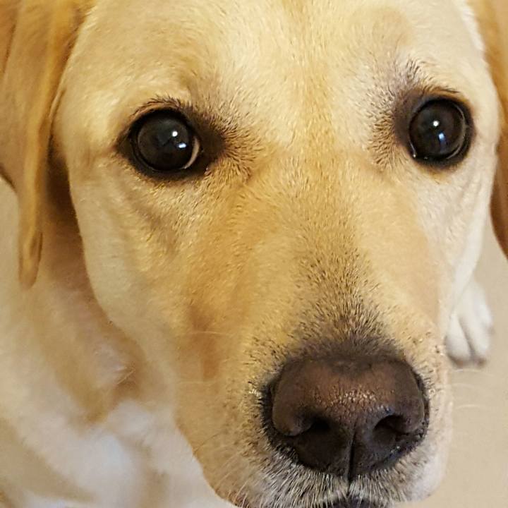 00e556df 6017 441a ac10 682406fea64f