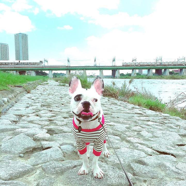 00e58a81 9b49 44e9 bd69 f3fe636d397c