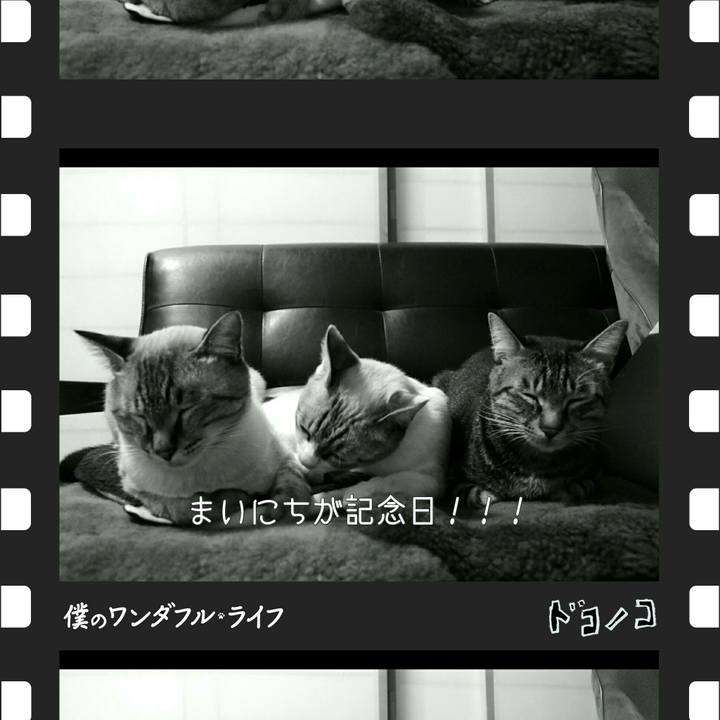 00e5b1cc b30b 469e 9a9c d45338948d89