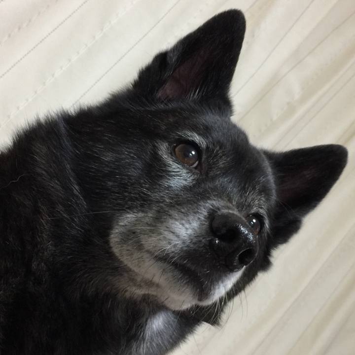 00e5fac7 d9f4 495f bd52 e8c21c07fbec