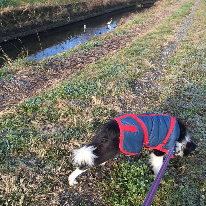 00e6299e d1ce 4055 9efd b80494423217