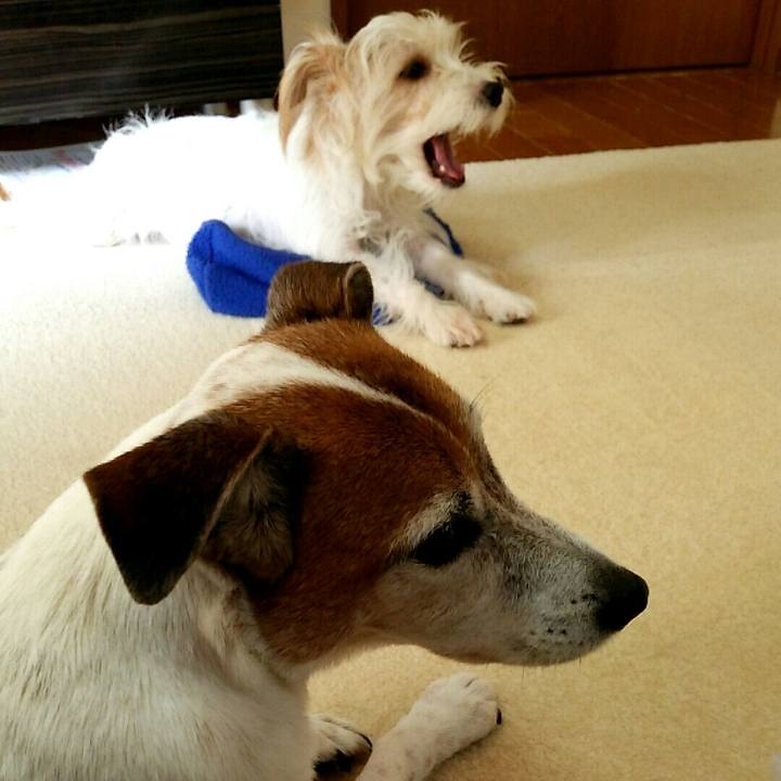 00e63acf c08b 4bf5 b6a8 c45c6ee81d51