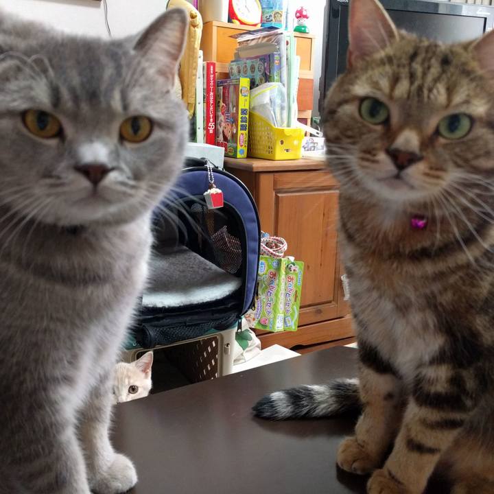 00e659f4 60f8 4e14 a3c7 c566b174f66e