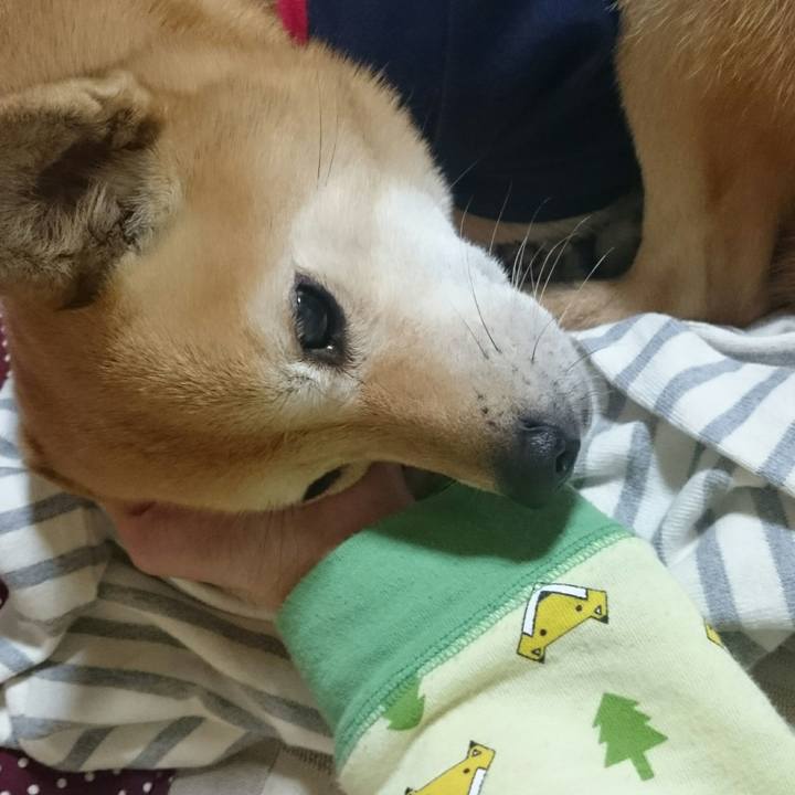 00e66677 cde1 410c 89a0 eed973a5031f