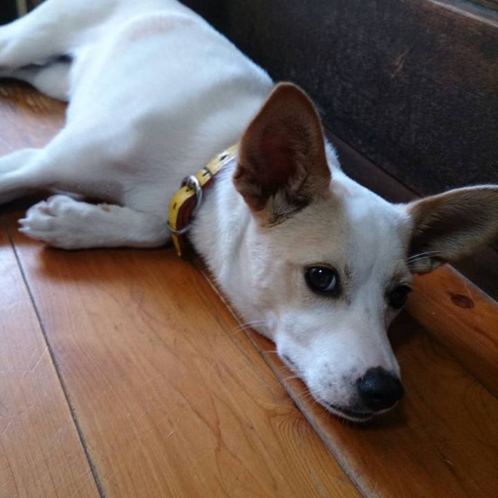 00e74dcd b4db 46e7 af02 74ae5f866c20