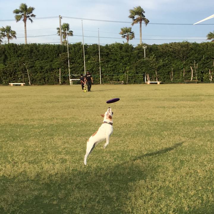 00e77e43 981c 4dc5 8f39 d3c6828becf6