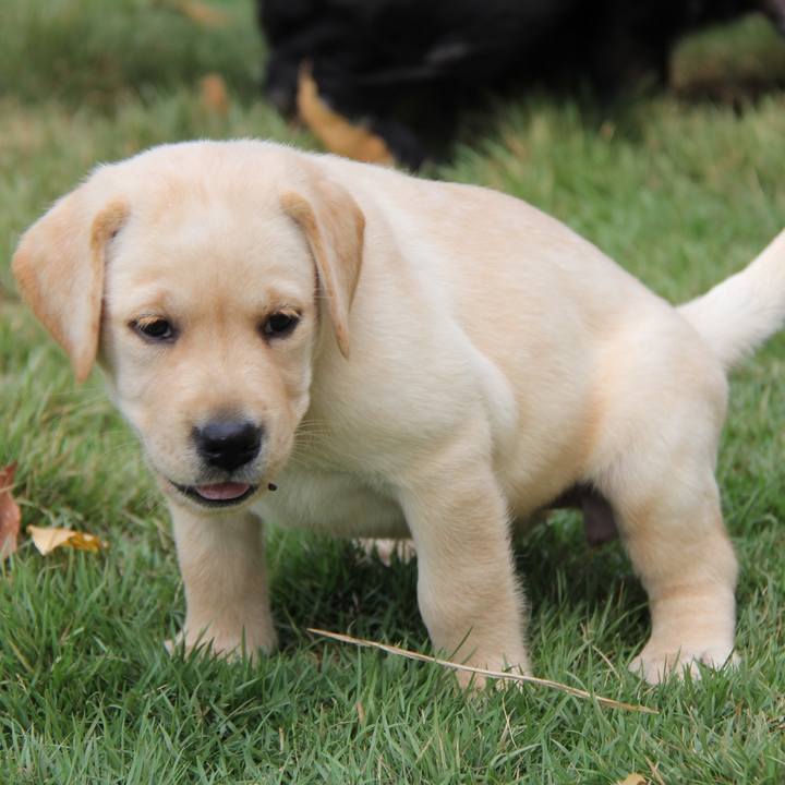 00e7e7f4 5770 4e9b 99ec df1cec4cac5f