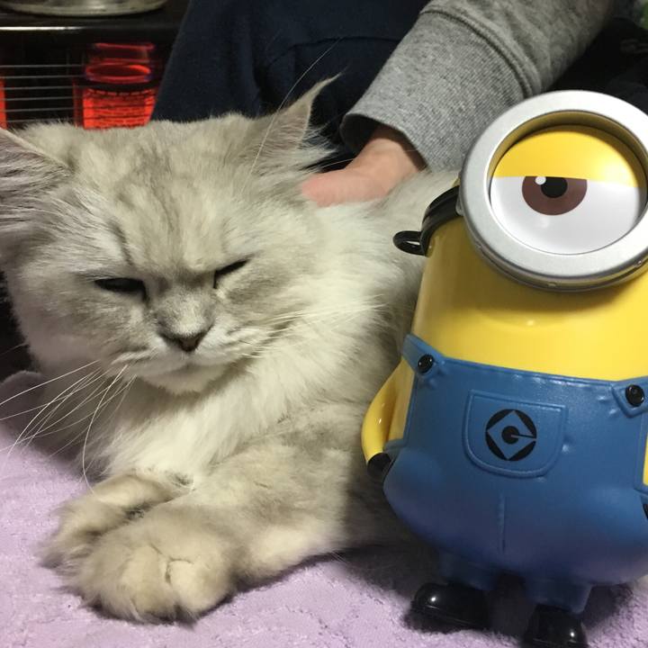 00e7e997 a61a 4942 b820 14d427aa073e