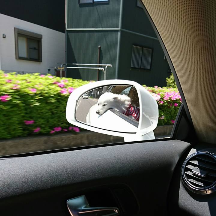 00e87afc 718b 4595 b805 0a396d0b2ff2