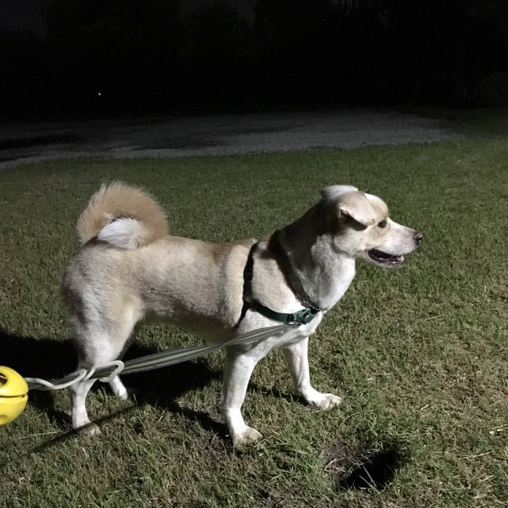 00e913d9 edad 4c6e a610 70083110518e