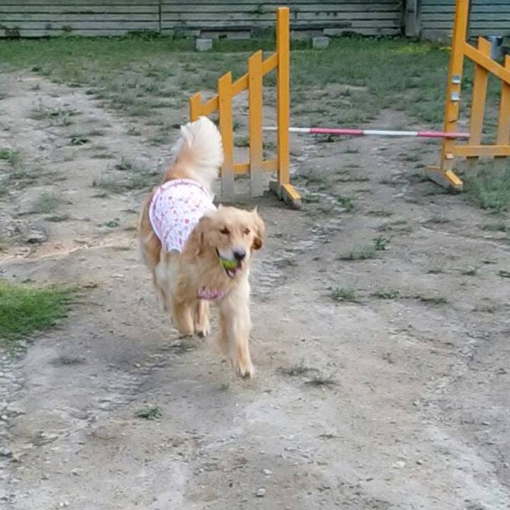 00e94d27 c83d 48df afc7 1d611bd0d9a9