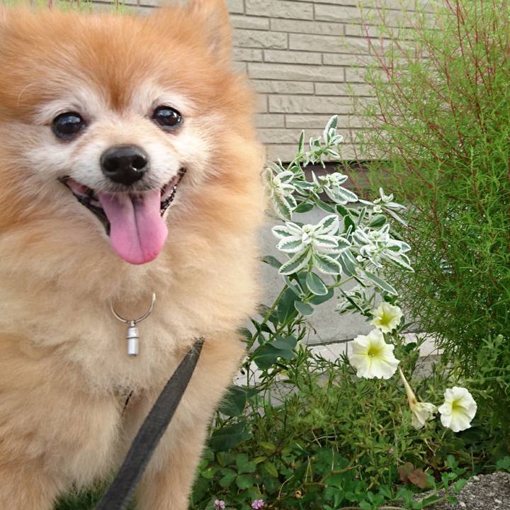 00e97d4f d2a8 4e79 ad93 b8a81e697437