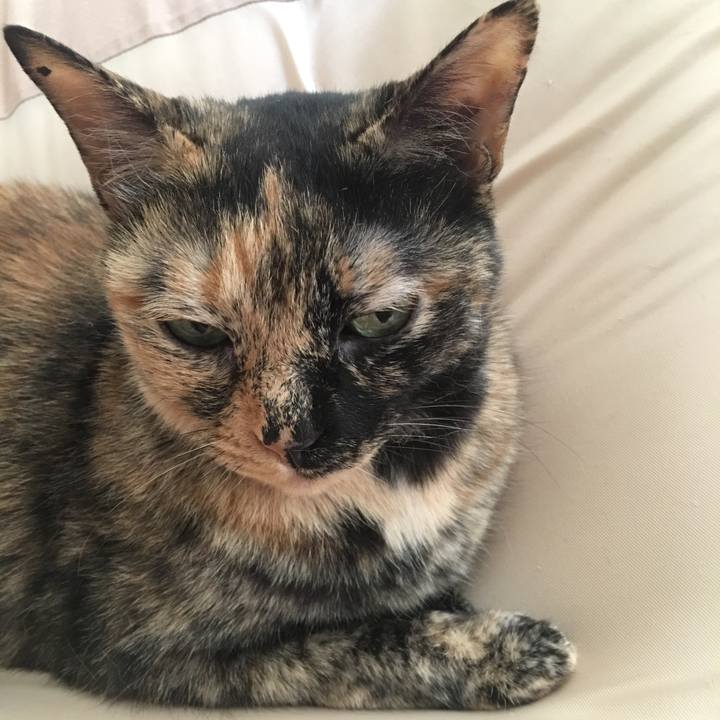 00e9fef1 1978 4622 8c1d 97008345993e