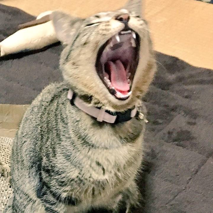 00ea2eb8 596c 4e89 8f76 48270033efbb