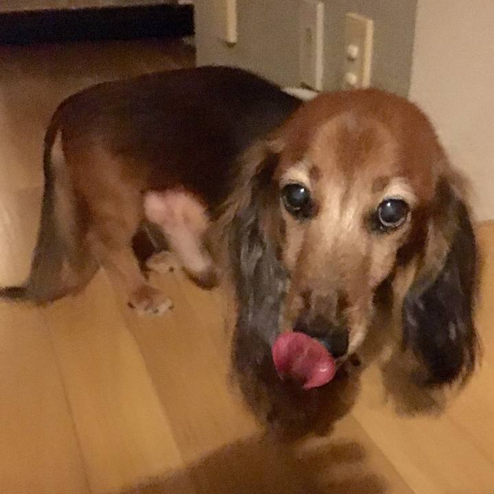 00eaa409 fe9d 4075 a676 44777d154612