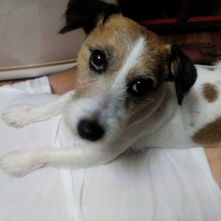 00eb0a21 ff14 45b7 aaaa 9fd1c7ebfac8