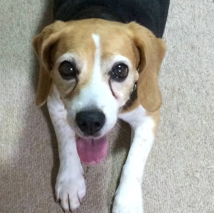 00eb22f8 c140 46df b508 b548d6670854