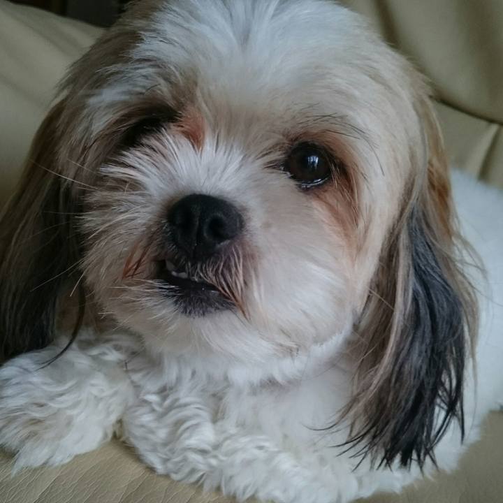 00eb330d 42fa 497c 9533 8123e091ada0