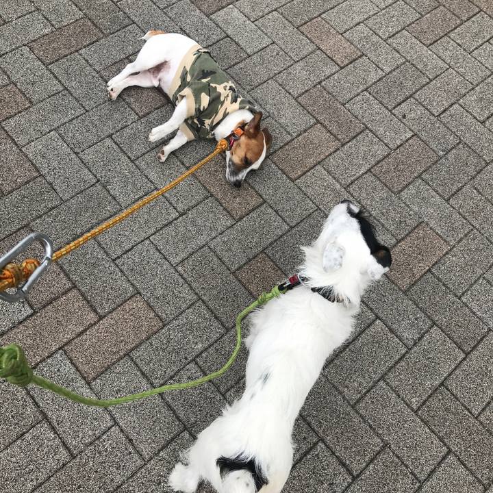 00eb5c66 5a83 42ae bf32 46cacc681a29