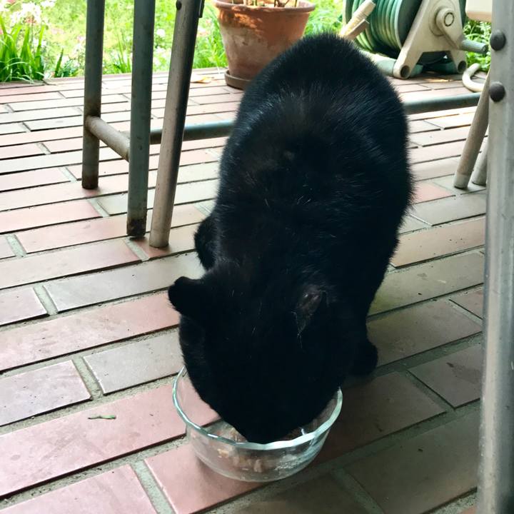 00eb6722 db4e 4aa8 bbb1 d5516ebcc8cd