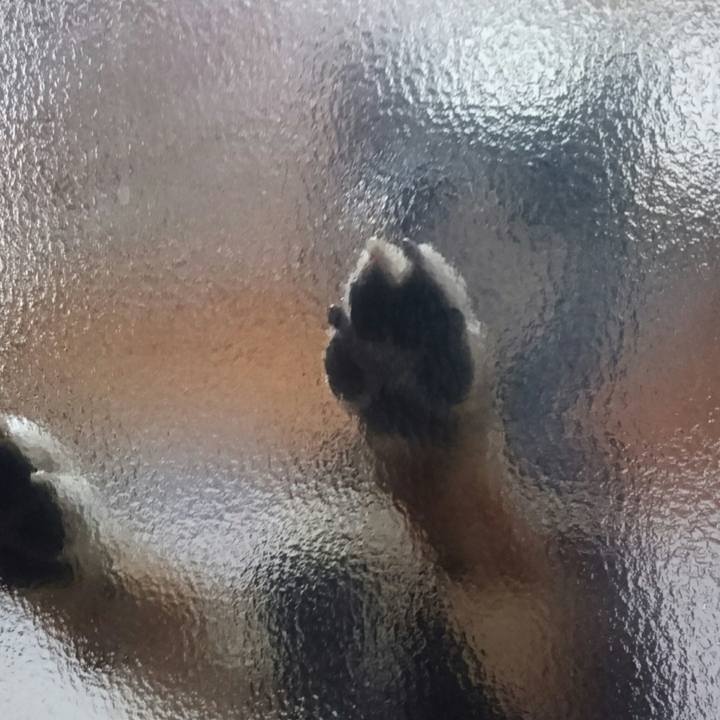 00eb7bdc 4c80 4972 8892 87e8959583f5