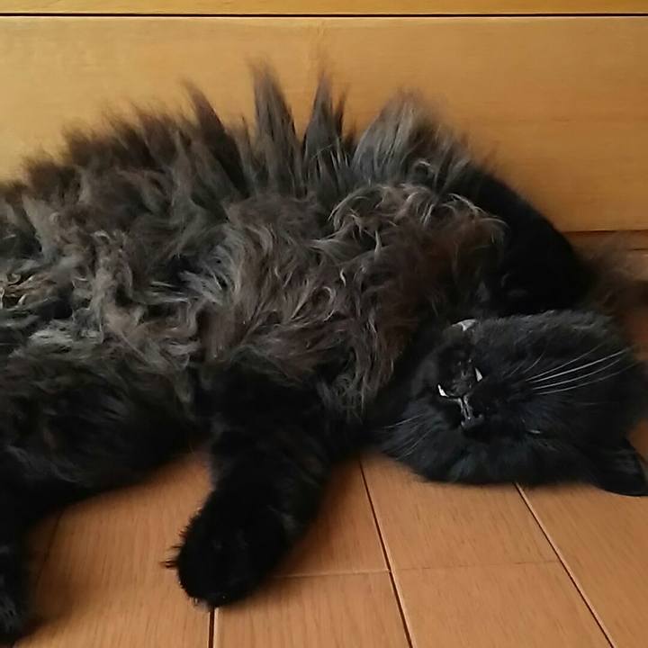 00eb81af e28e 4364 ad5d 34f1987394f8