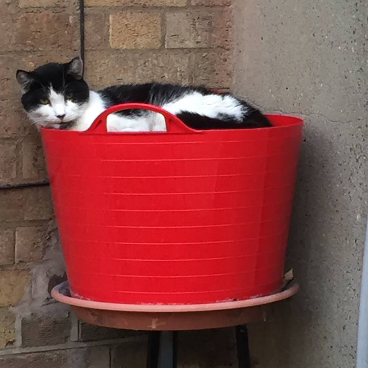 00ebb7bc 6b87 4ff2 9a7d 06e174765e84