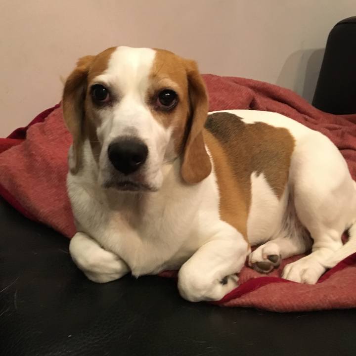 00ed35fa 1db2 47e1 8303 6970f79bb32a