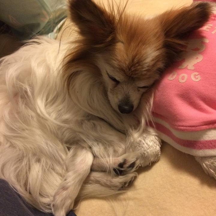 00ed5d5c 336b 4ce6 8495 62dd0dda538a