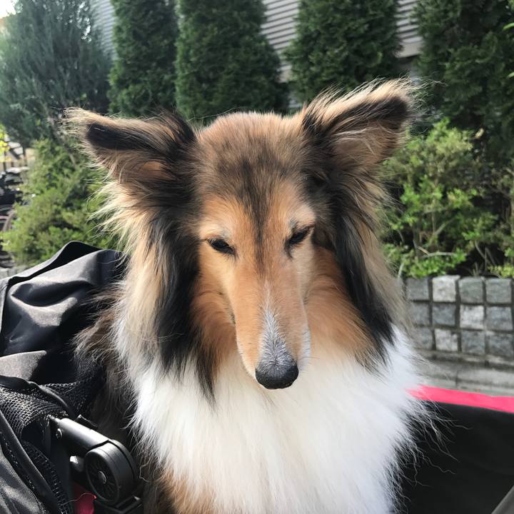 00ed9954 6c35 4e7f 85ed 478f6c7376af