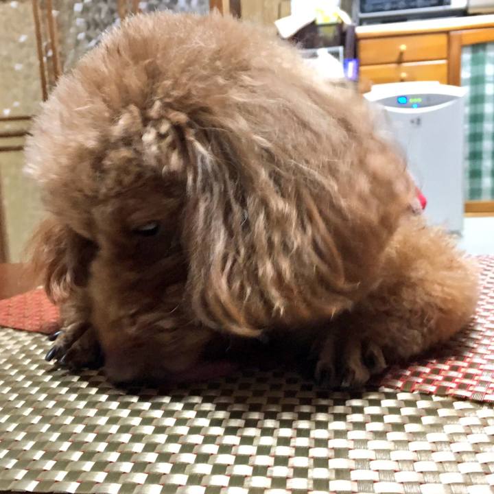 00edfca8 b863 4871 82d0 6e8065d56bb8