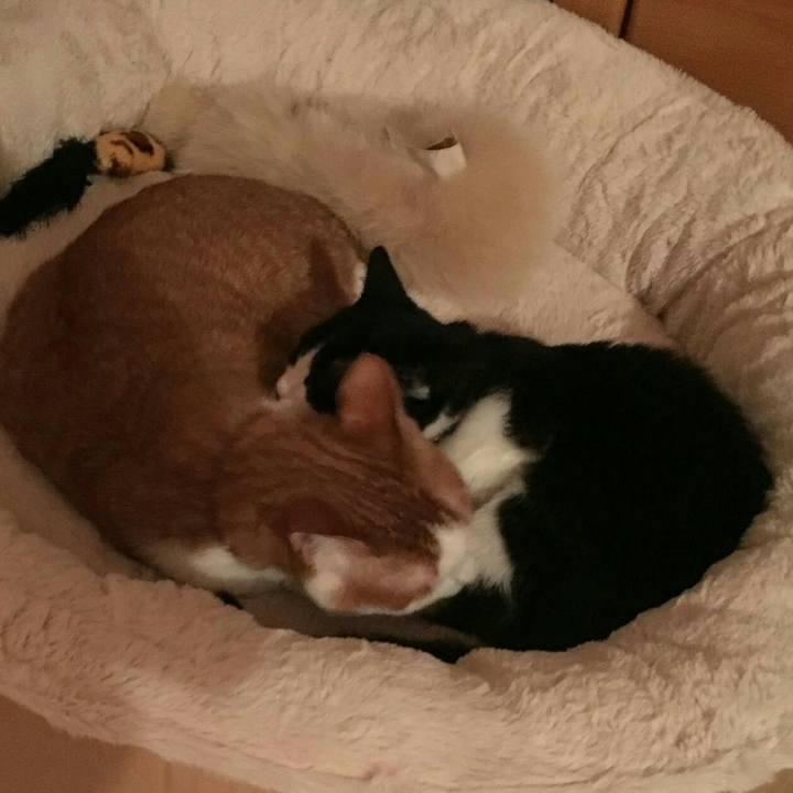 00ee8631 50f2 4bed b51d 6f93d39b51d7