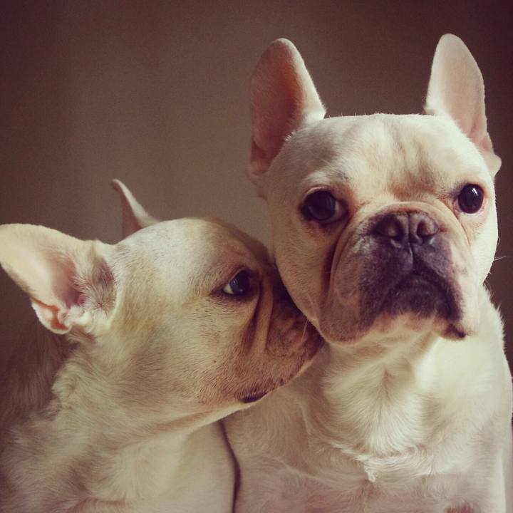 00ee9735 0863 4e7c b70c 946640f01c59