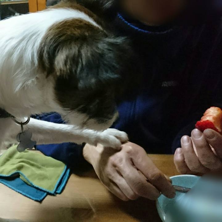 00eef276 7aa3 41fc 88d7 5c549efd4c7e