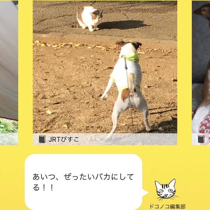 00ef426b 7ca6 43a5 a10a 3e230f436deb