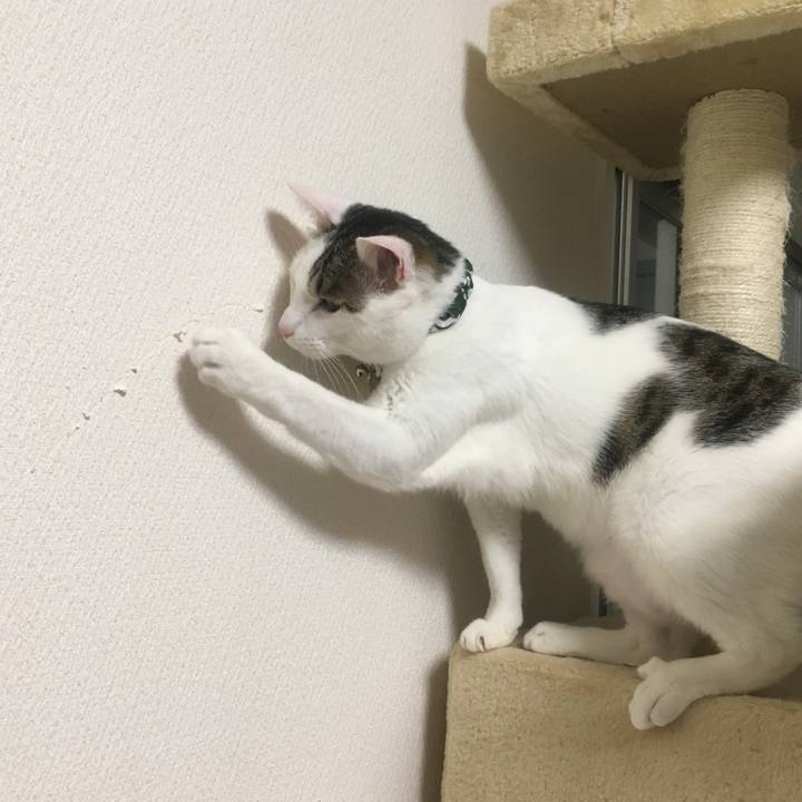 00ef87b0 039e 454e ad0e 942a0011501a