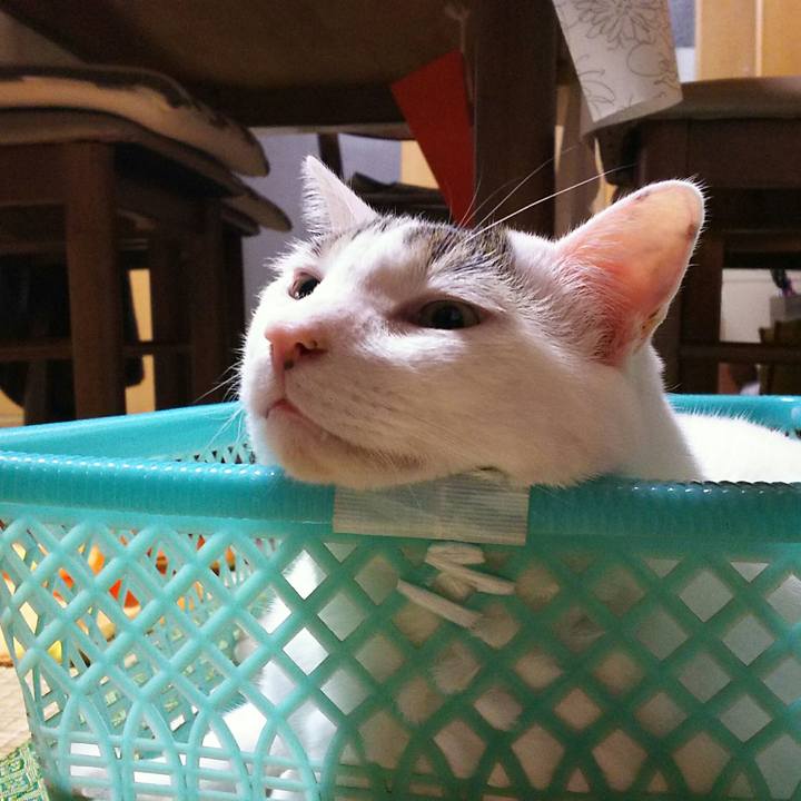 00f0a5b5 afd0 4ddd 9072 5a3d521ca00b