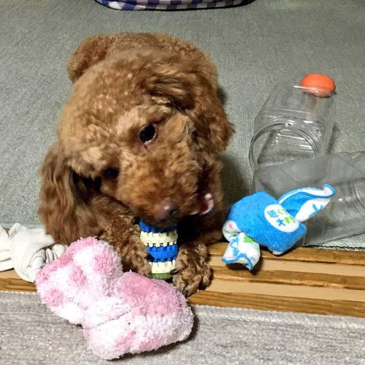 00f191cf 5abf 44fc a732 1736bff556b5