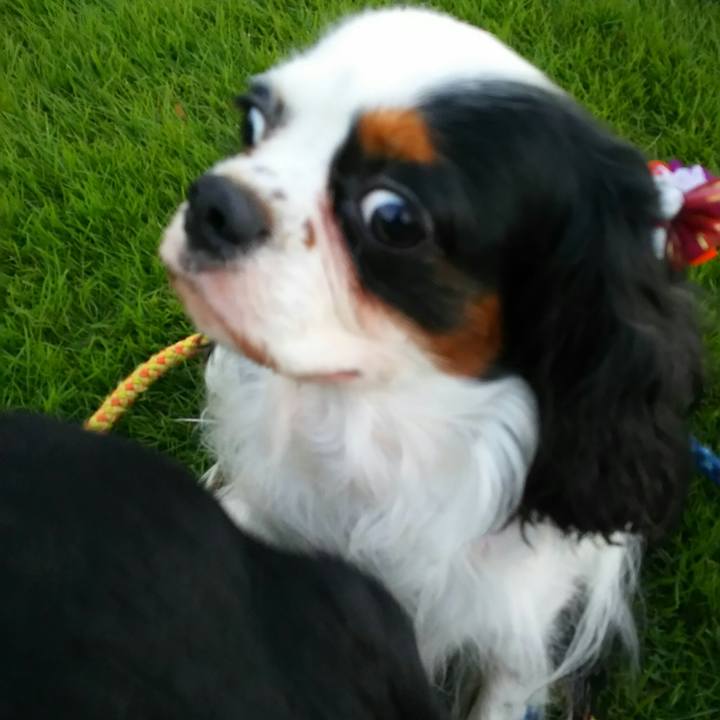 00f22d9a 8293 44a9 9c19 eb6787bb82ca