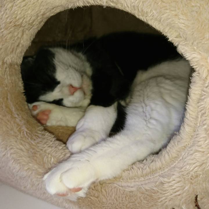 00f237ac f6f1 46a5 98f9 38559d7b2e2e