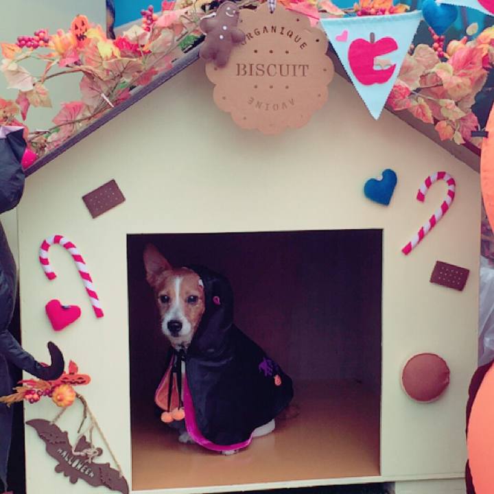 00f2657b 1202 46a3 b36f cb695a0ee09b