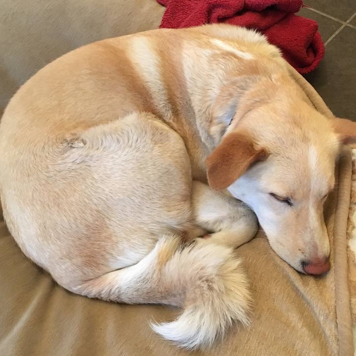 00f296ac 0561 400f 9e96 06c92e3129ef