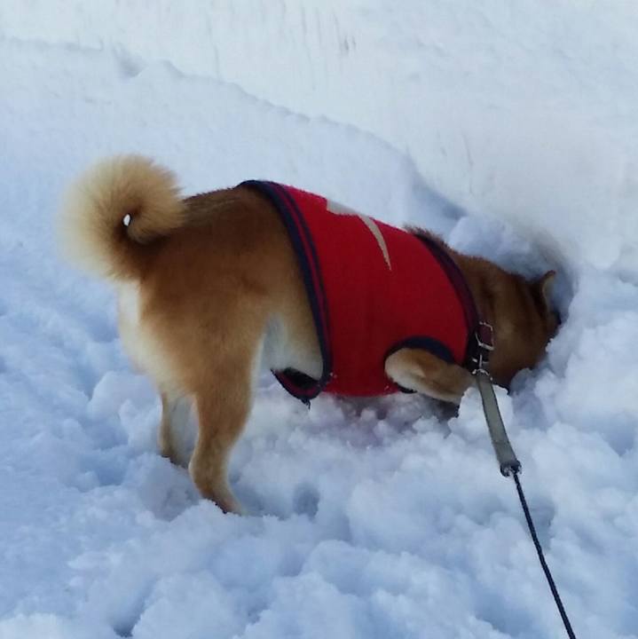 00f30957 6f85 47c3 b9ba f374bd0055f7