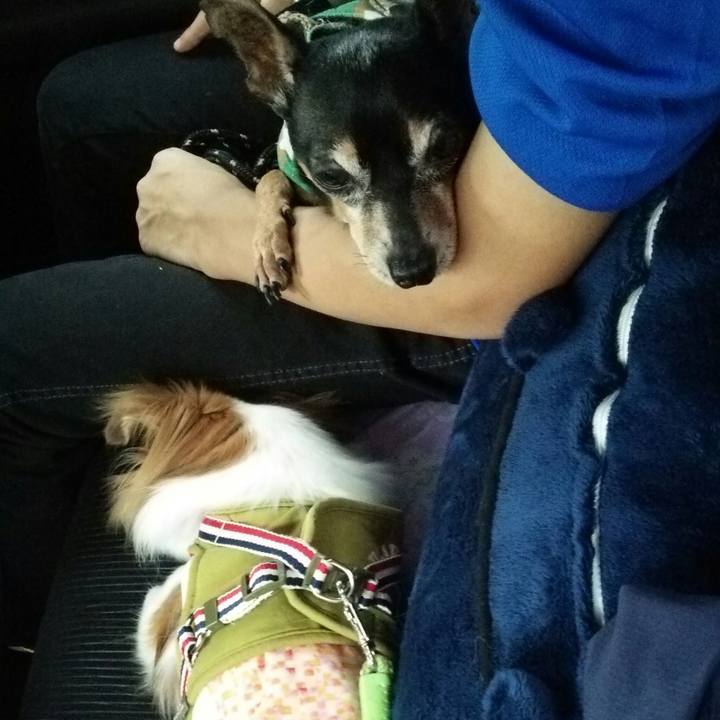 00f39da0 9b75 47fc 89e7 b3c7aa324e84