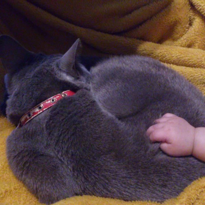 00f3b263 64df 40ea acd0 2dfdc2295960